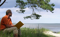 soulresponding - Kontakt soulresponding - Foto am Strand